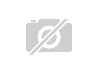 Cleaner-Team Rhein-Main